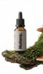 Extracto de Reishi 30 ml — Dual Extraction, 100% Corpo de Frutificação, 40% Beta-Glucanos