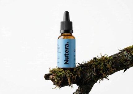 Mix 4-em-1 Nutera 30 ml — Lion's Mane, Reishi, Cordyceps e Chaga, dupla extração