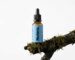 Mix 4-em-1 Nutera 30 ml — Lion's Mane, Reishi, Cordyceps e Chaga, dupla extração